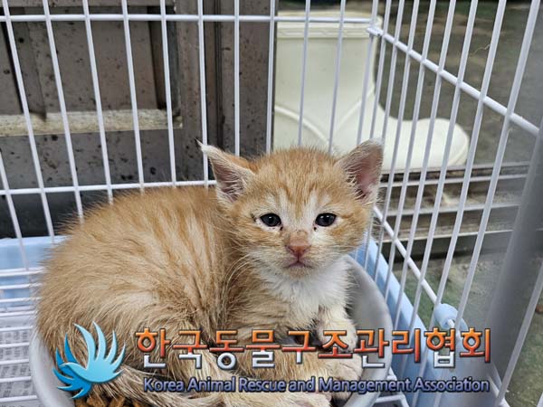 종료(자연사) 한국…